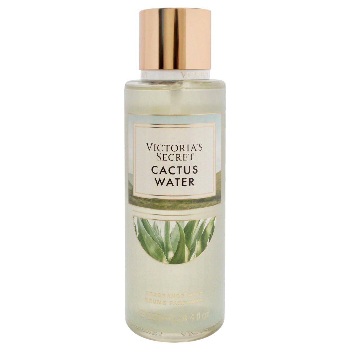 Victorias Secret Cactus Water by Victorias Secret for Women - 84 oz Fragrance Mist
